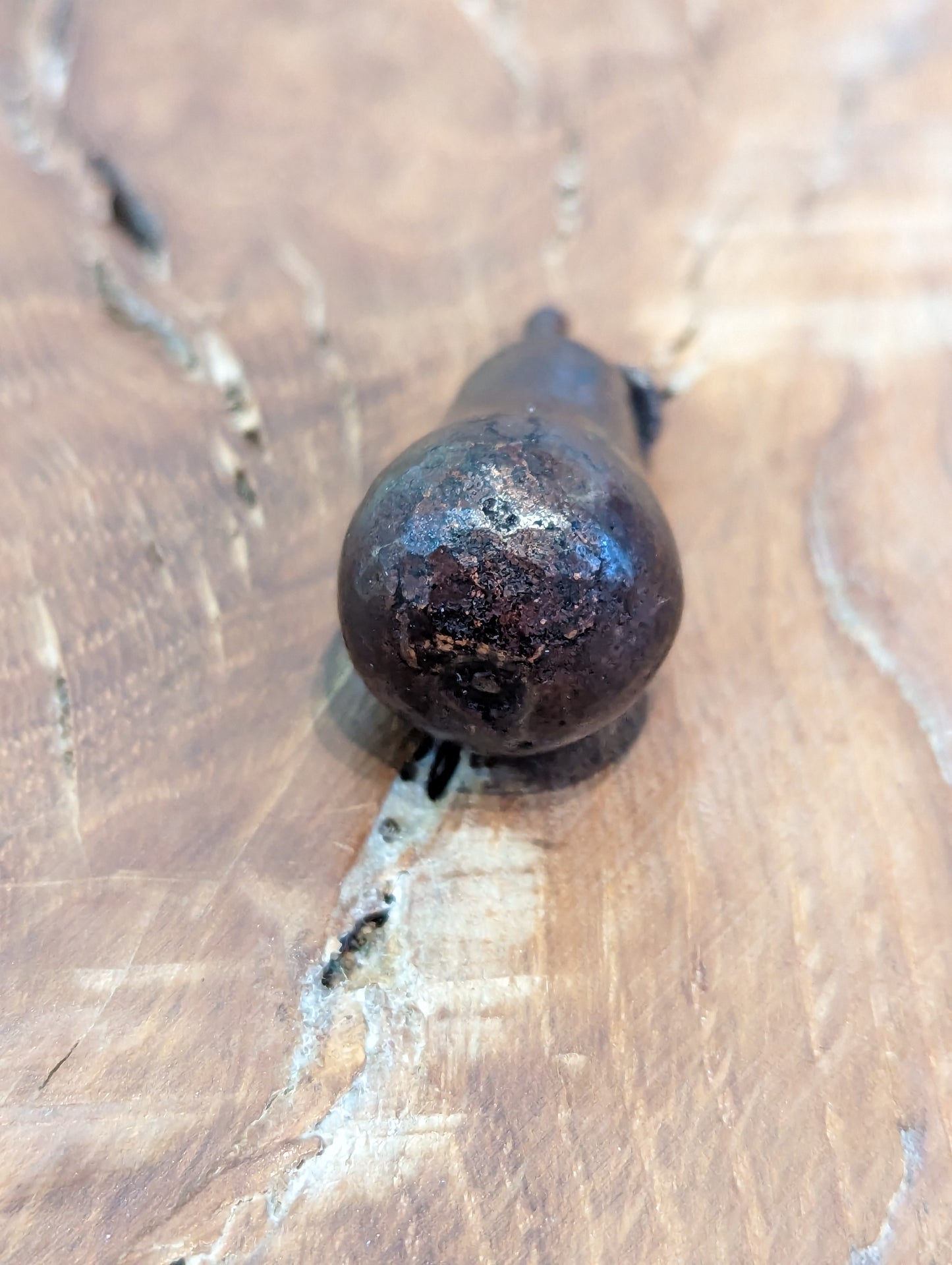 David Meredith Studios - Bonsai Bronze Pear.