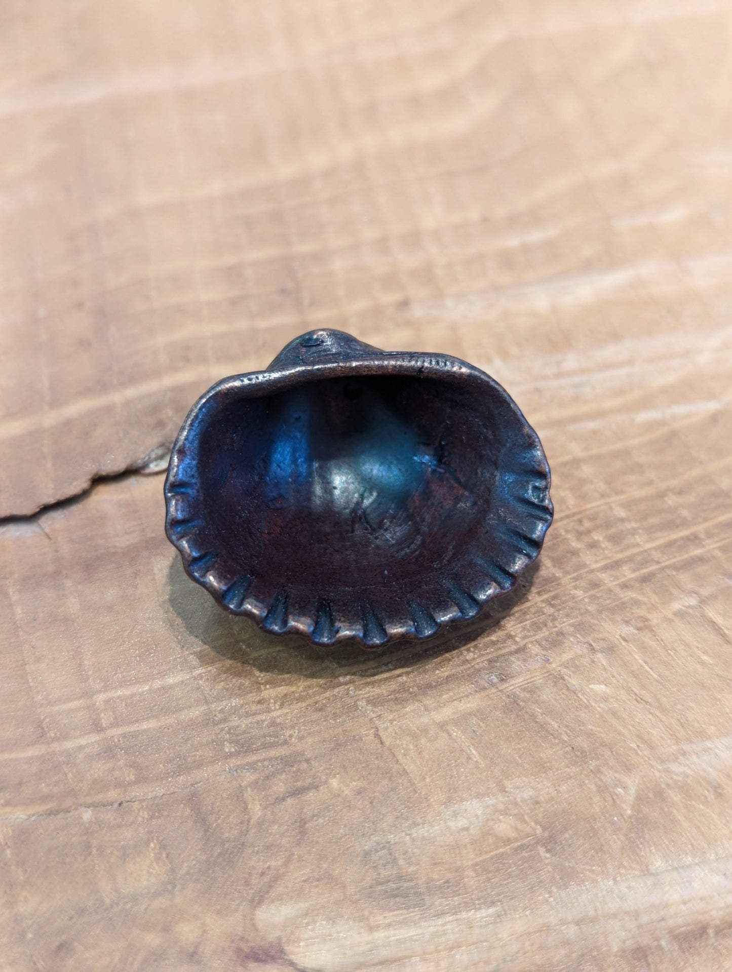 David Meredith Studios - Bonsai Bronze Clam Shell