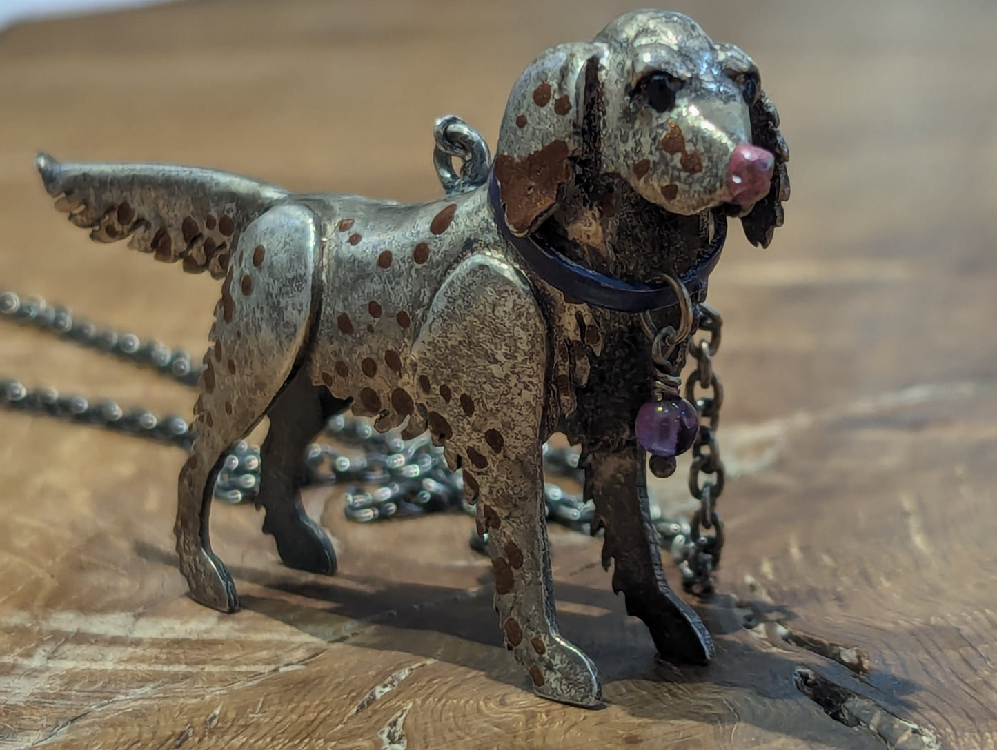 Silver dog with brown spots, floppy ears and a pink nose. It has a blue collar with a purple bead hanging from it. 